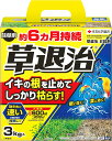 住友化学園芸 草退治E粒剤 3kg