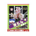 酵素パワーで根を守る洋らん専用培養土 【商品説明】 ●シンビジウム、デンドロビウム、カトレアなどの洋らんの植え替え、株分けに! ●鉢土の水分量を大きな鉢で育てる洋らんの生育に合わせて 調整しやすいです ●肥料の効きが良いのでしっかりとした株が育ちます。 ●大きな株でもぐらつくことなく植えられるため根を傷めません。 ●植え付け後の根傷みから根を保護する酵素パワー入りです。