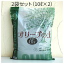 【まとめ買い2袋セット】プロトリーフ オリーブの土 10L