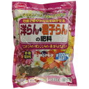 S&H 洋らん・君子らんの肥料 500g