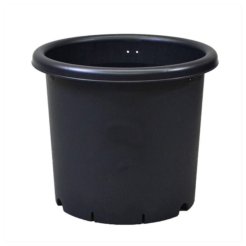 アップルウェア　菊鉢7号　ブラック