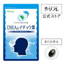 DHA EPA 大豆レシチン イチョウ葉エキス サプリ 知的栄養素 サプリメント DHA&イチョウ葉
