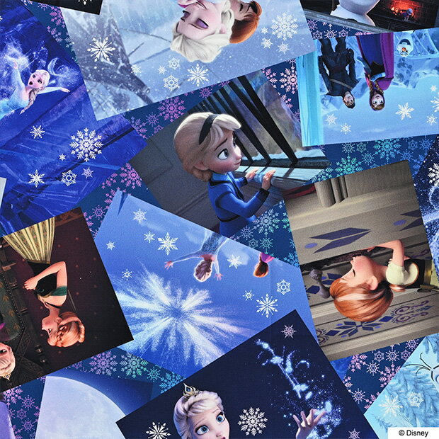 [数量5個から承ります]DIGITAL PRINT アナと雪の女王柄 オックス生地 約110cm幅×10cm単位計り売り| コットン プリント 通園 通学 入園 入学 レッスンバッグ Disney プリンセス アナ雪 ドレス ハロウィン 手芸 手作り ハンドメイド デジプリ デジタルプリント