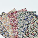 Flownny(フラウニー) Daisy 花柄 ローン生地 約110cm幅×10cm単位計り売り|布 コットン100% プリント ナチュラル 総柄 小花柄 フラワー 服地 ボタニカル|【数量5個から承ります】【メール便5mまで】