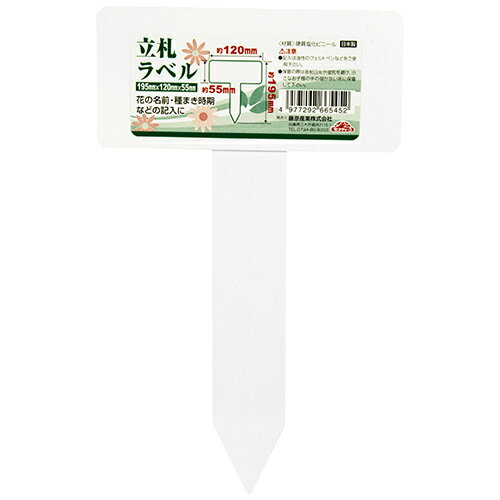 Ω����٥� �� 1PCS ƣ������ [������� ������Ȼ�� ��٥�]