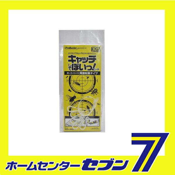 ����å����ƥݥ� 10���� SHIMADA [����� ưʪ�褱]