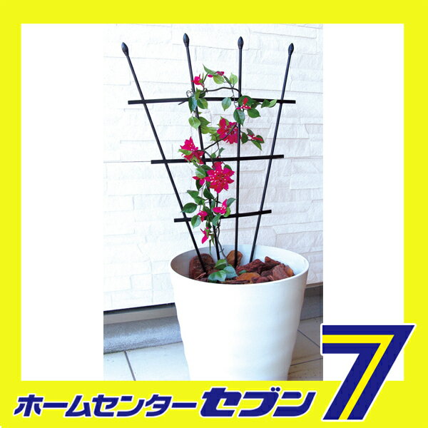 ���󤹷��ȥ�ꥹ 90cm ���ӥˡ��� [���Ȼ�� �������]