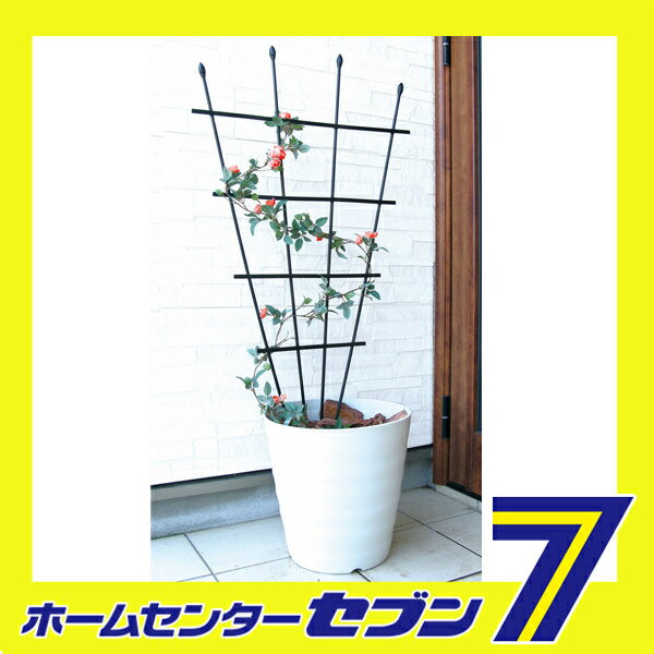 ���󤹷��ȥ�ꥹ 120cm ���ӥˡ��� [���Ȼ�� �������]