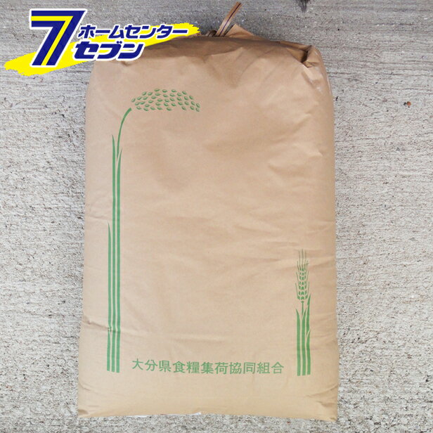 【エントリーでポイント10倍】新米 ヒノヒカリ 玄米 30kg 令和元年産 [九州 大分県産 ひのひかり 30kg 米 お米 うるち米]【キャッシュレス5％還元】【ポイントUP:12月4日pm20時〜12月11日am1時59分】