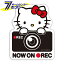 ϥƥ ɥ饤֥쥳ƥå ƥ󥰥꡼ KT533  SEIWA [Hello Kitty ƥ  åƥå ]