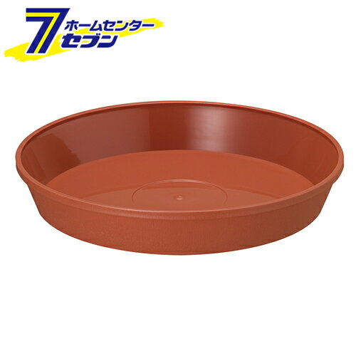 �ե쥰�顼�ץ졼�� 21���� �֥饦�� ���¥ץ��� [������� ������� �ץ�󥿡�]