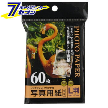 オーム電機 写真用紙 光沢 L版 60枚入01-3251 PA-PRC-L/60[OAサプライ:コピー用紙]
