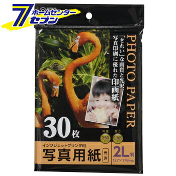 オーム電機 写真用紙 光沢 2L版 30枚入01-3254 PA-PRC-2L/30[OAサプライ:コピー用紙]