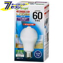オーム電機 LED電球 E26 60形相当 人感明暗センサー付 昼光色06-3594 LDA8D-H R21