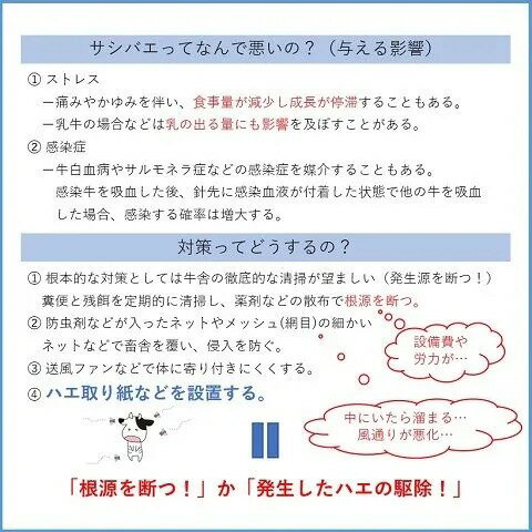 【ポイント10倍】RECOTEK ハエトール 虫取り粘着シート10枚セット [捕獲 畜舎 サシ...