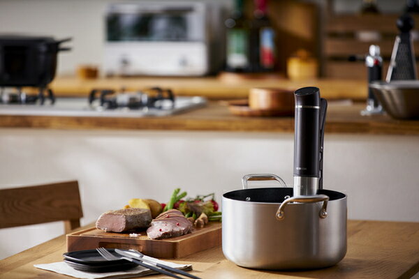 アイリスオーヤマ スリム 低温調理器 カカオブラウン LTC-02-T [低温調理器具 軽量 スリム 簡単 手軽 防水 タイマー 温度設定 家庭用 本体 IRIS]