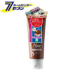 テンスター ヘナ カラートリートメント ブラウン TH3-51 (250g) [白髪 毛染め 手軽 ツヤ コシ ハリ ケア 三宝]