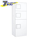 ダイケン 宅配ボックス シリンダー錠タイプ TBX-G2SS-W (白) 商品単品販売 tbx-g2ss-w [宅配BOX TBX-G2型 Sボックス SSボッ...