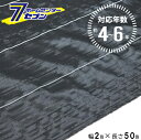 【ポイント10倍】(法人限定) 高質草よけシート ブラック 4〜6年 2m×50m [防 草 シート 農業 防草 庭 園芸 抑草 法面 畑 ハウス 露地 道路 ...