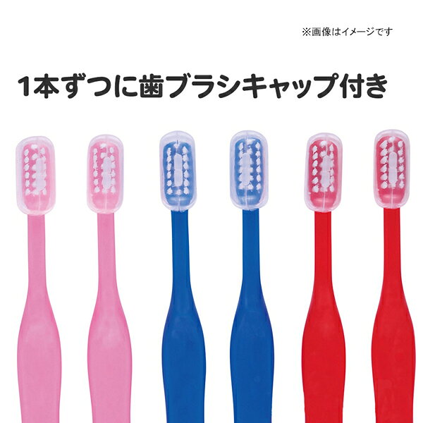 ホームセンターセブンの園児用 歯ブラシ やわらかめ パウパトロール 8本入 TB5SE スケーター [乳歯期 歯磨き 虫歯予防 キャラクター]｜アングル3