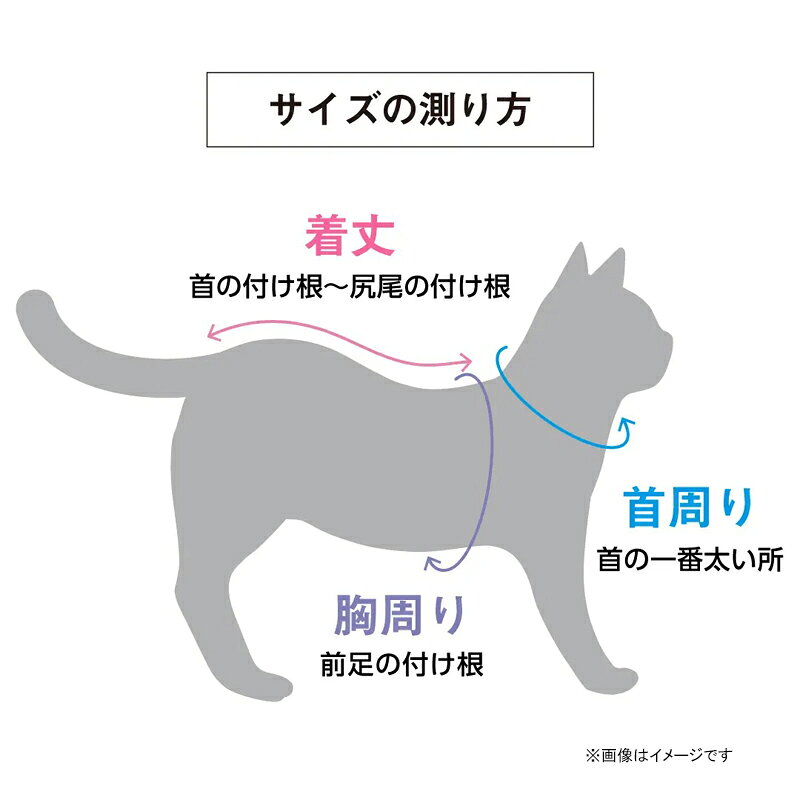 ǭ�� �Ѹ��� ���졼���� XS �٥åĥ����� Vet's Lab 1�� ����ѥ�ڥåȥ��ߥ�˥�������� [��æ��ñ ����ե����ʡ� ®�� ǭ����]