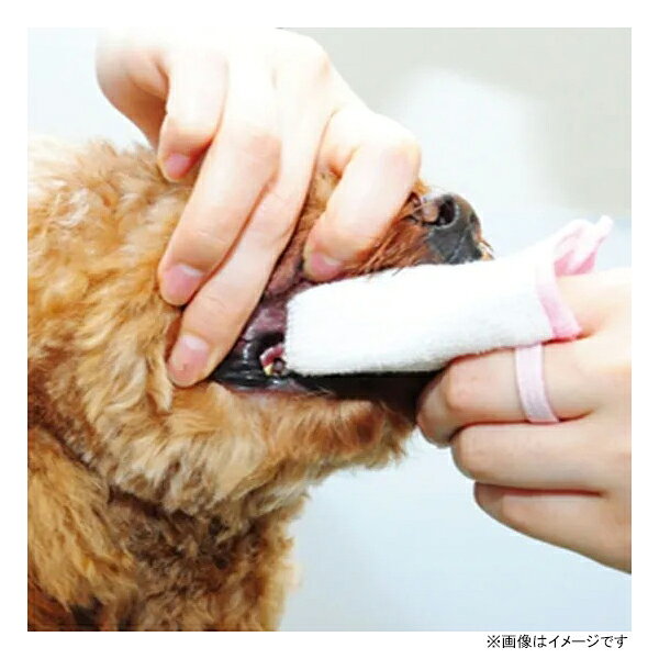 ホームセンターセブンの愛犬・愛猫用 初めての歯みがきセット 21g 日本製 トーラス [デンタルケア 口腔ケア オーラルケア 歯の健康 ペット用品]｜アングル3