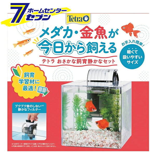 楽天市場】オロチ メダカ（水槽セット｜水槽・アクアリウム）：熱帯魚