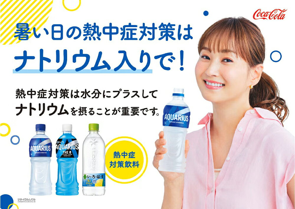 (まとめ買い48本) い・ろ・は・す 塩とれもん PET 540ml コカ・コーラ [ケース販売 飲料 ソフトドリンク ミネラルウォーター 熱中症対策] hc7-13301086 ホームセンターセブン サンプル画像3
