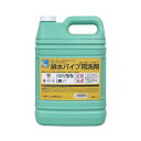 排水パイプ用洗剤 ファースト・パイプクリーナー 5kg 23020088【メーカー直送:代金引換不可:同梱不可】【北海道・沖縄・離島は配達不可】(3)