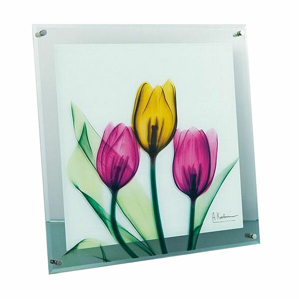 X RAY ガラス アート チューリップ Mサイズ XR-05004【メーカー直送：代金引換不可：同梱不可】【北海道・沖縄・離島は配達不可】