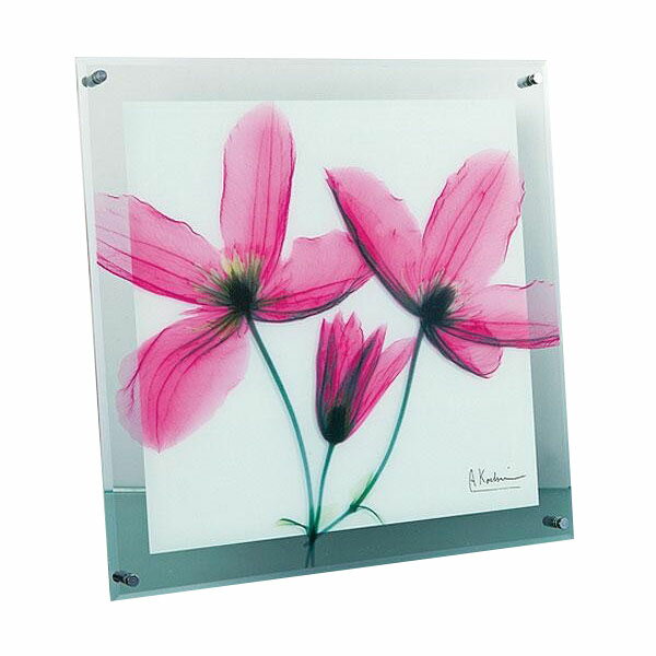 X RAY ガラス アート ジャーニー クレマチス Mサイズ XR-05006【メーカー直送：代金引換不可：同梱不可】【北海道・沖縄・離島は配達不可】