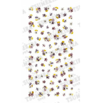 �ĥᥭ�� �ͥ��륷���� noble �ɥ饤�ե��ȶ���2 NO-DFG-102(����������)��������ˡ:�᡼����/Ʊ���Բ�/����Բ�/���������Բġۡ��̳�ƻ�����졦Υ�����ã�Բġ�