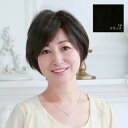 プリシラ 白髪かくしウィッグ 分け目タイプ ブラック ST-005-1N【メーカー直送:代金引換不可:同梱不可】【北海道・沖縄・離島は配達不可】