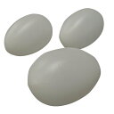 食品サンプル 玉子 (白玉) 10個 IP-501【メーカー直送:代金引換不可:同梱不可】【北海道・沖縄・離島は配達不可】