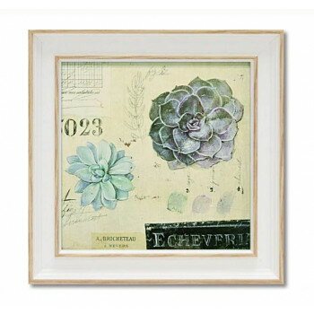 ミニゲル アートフレーム アンジェラ スターリング「エケベリア」 AS-02044【メー...