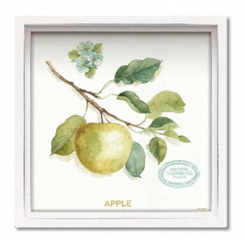 ���ϥ� �ߥ˥����ȥե졼�� �ꥵ �����ǥ��åȡ֥ޥ� ���꡼��ϥ��� �ե롼��4�� LA-01205�ڥ᡼����ľ�����������Բġ�Ʊ���Բġۡ��̳�ƻ�����졦Υ�����ã�Բġ�