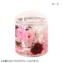 アクリル綿棒立て ローズ 30120951015【メーカー直送:代金引換不可:同梱不可】【北海道・沖縄・離島は配達不可】