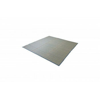 Door Mats - カーペット い草ラグ NCXリープ 180×180cm ブルー 1071800042910【メーカー直送：代金引換不可：同梱不可】【北海道・沖縄・離島は配達不可】