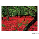 ジグソーパズル 300ピース 埼玉県 巾着田曼珠沙華公園 03-944【メーカー直送:代金引換不可:同梱不可】【北海道・沖縄・離島は配達不可】(3)