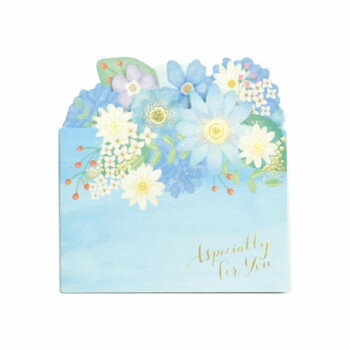 �ե��������ǥ����󿧻� �֥롼 62-198��������ˡ:�᡼����/Ʊ���Բ�/����Բ�/���������Բġۡ��̳�ƻ�����졦Υ�����ã�Բġ�