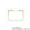 ヒサゴ 賞状枠 A4 ヨコ 10枚 CJ170S【メーカー直送:代金引換不可:同梱不可】【北海道・沖縄・離島は配達不可】