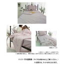レーヨンひんやりケット ダブル ピーチシフォン SN-37-300-52【メーカー直送:代金引換不可:同梱不可】【北海道・沖縄・離島は配達不可】