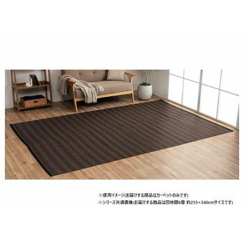 日本製 洗えるい草調カーペット ブラウン 団地間6畳 約255×340cm 1090031060502【メーカー直送：代金引換不可：同梱不可】【北海道・沖縄・離島は配達不可】