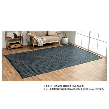※パッケージ、デザイン等は予告なく変更される場合があります。※画像はイメージです。商品タイトルと一致しない場合があります。細いストロー状のような素材を細いパイプ状にして織り込んだ敷物。強度が高くしっかりとしています。カビが発生しにくい素材なので、ダニなども寄り付きにくいです。一般的な除菌スプレーで拭いても色落ちせず、常に清潔な状態を保つことができます。リビング、お子様のお部屋など様々なシーンで活躍します。※掲載写真は表記サイズと異なる場合がございます。※画面上のカラーはご使用ブラウザやモニターの設定により、実物とは若干異なる場合がございます。サイズ団地間6畳(約255×340cm)個装サイズ：50.0×90.0×12.0cm重量個装重量：5400g素材・材質ポリプロピレン100%仕様水洗い可カラー:ネイビー生産国日本広告文責:株式会社ホームセンターセブンTEL:0978-33-2811※パッケージ、デザイン等は予告なく変更される場合があります。※画像はイメージです。商品タイトルと一致しない場合があります。fk094igrjs