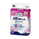 ライフリー お肌あんしん尿とりパッド 30枚入 ×1個 500-006332-00【メーカー直送:代金引換不可:同梱不可】【北海道・沖縄・離島は配達不可】
