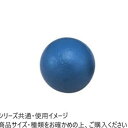 DANNO(ダンノ) 鉄製砲丸 男子/一般(7.260kg) D022...(4)
