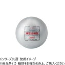 ダンノ(DANNO) 鉄製検定砲丸 女子/中学(2.721kg) D0206【メーカー直送:代金引換不可:同梱不可】【北海道・沖縄・離島は配達不可】
