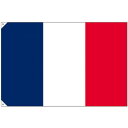 N国旗(販促用) 23675 フランス 大【メーカー直送:代金引換不可:同梱不可】【北海道・沖縄・離島は配達不可】(3)