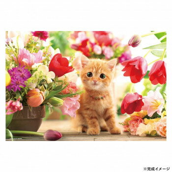 �ӥХ꡼ �ڥåȥ��������ѥ��� ���塼��åפȻ�ǭ 300�ԡ��� P33-190�ڥ᡼����ľ�����������Բġ�Ʊ���Բġۡ��̳�ƻ�����졦Υ�����ã�Բġ�