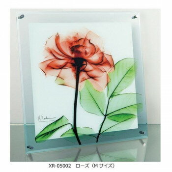 X RAY ガラス アート ローズ Mサイズ XR-05002【メーカー直送：代金引換不可：同梱不可】【北海道・沖縄・離島は配達不可】